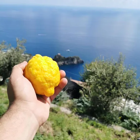 Feriehus Solecore Amalficoast Conca dei Marini