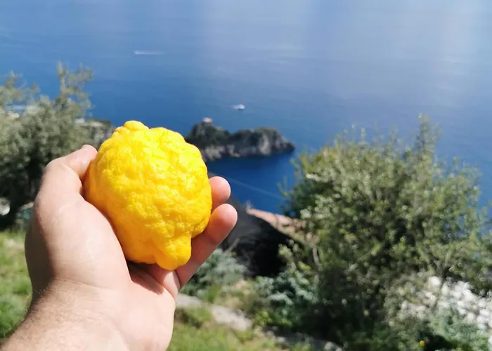 Prázdninový dům Solecore Amalficoast Conca dei Marini