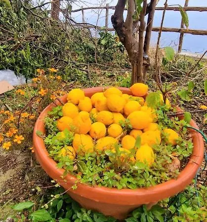 Solecore Amalficoast Conca dei Marini