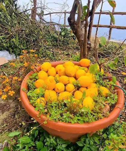 Solecore Amalficoast 콩카데이마리니